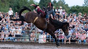 Image: Rod�o vendredi Image: Rod�o vendredi