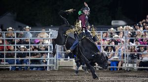 Image: rodeo samedi Image: rodeo samedi