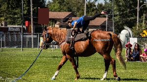 Image: Ferme Cabriole 2026 Image: Ferme Cabriole 2026