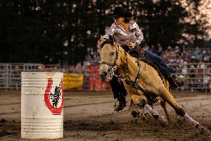 Image: Gymkhana prof vendredi 26