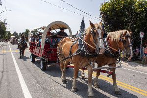 Image: D�fil� 2026