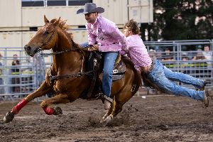 Image: gymkhana prof samedi 26 Image: gymkhana prof samedi 26